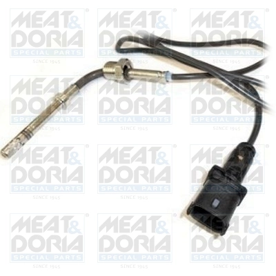 Sensor, exhaust gas temperature
